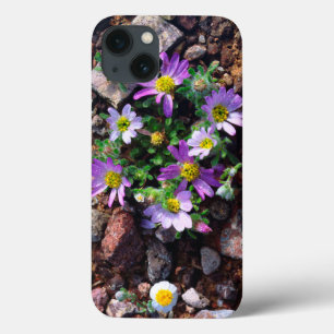 Flores selvagens