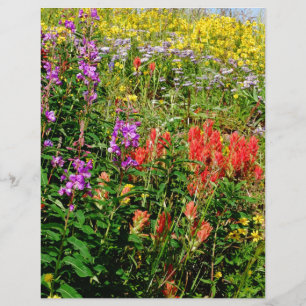 Flores selvagens das Montanhas Rochosas