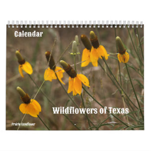 Flores selvagens do Calendário do Texas