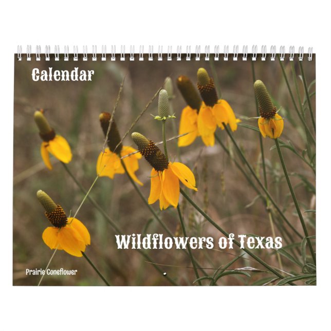 Flores selvagens do Calendário do Texas (Capa)
