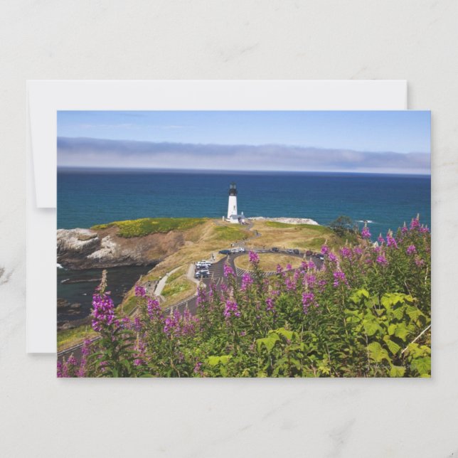 Flores selvagens e Yaquina (Frente)