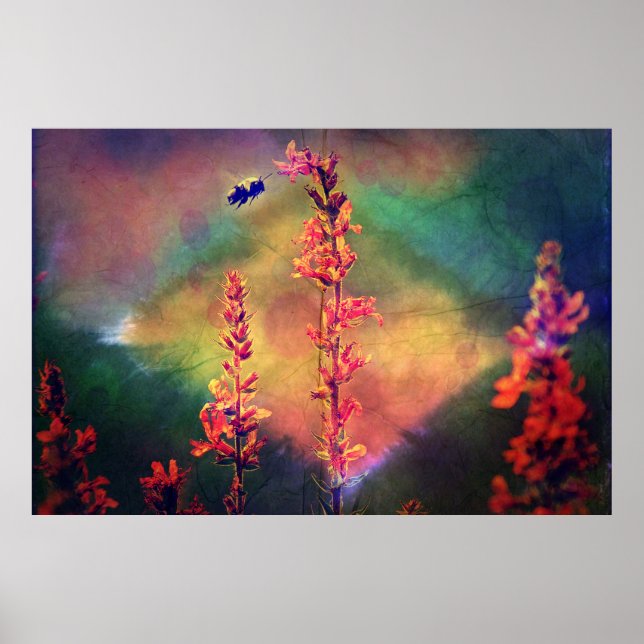 Flores selvagens N Bee Autumn Diamond Poster (Frente)