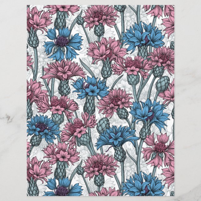 Flores silvestres de centáurea rosa e azul sobre b (Frente)