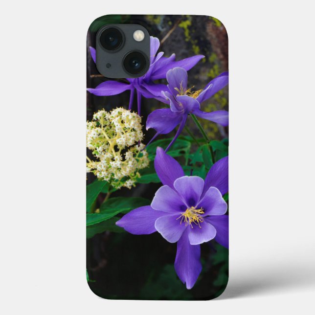 Flores Silvestres Mutantes Columbine (Verso)