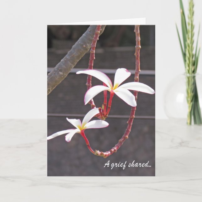 Flores tropicais de Cartão de condolências (Frente)
