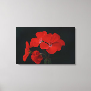 Flores Vermelhas Incríveis Impressão em Tela Estic