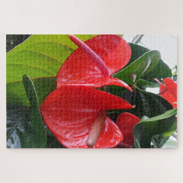 Flores Vermelhas Quebra-cabeça (Horizontal)