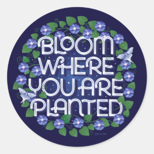 Floresça Onde Você Está Plantado / Adesivos