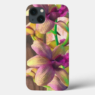Florescência das orquídeas