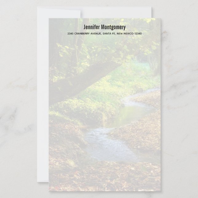 Floresta Creek Belo Paisagem Natural (Frente)