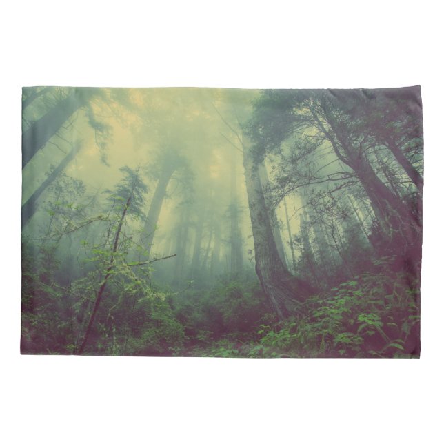 Floresta De Baixo (Verso)