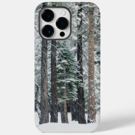 Floresta de Inverno Árvores de Neve