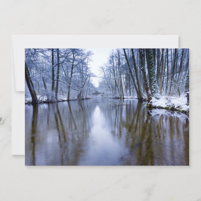 Floresta de Inverno com Belo Fluxo (Frente)