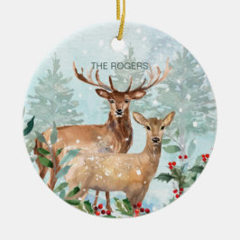 Floresta de inverno, veado, nosso novo ornamento c