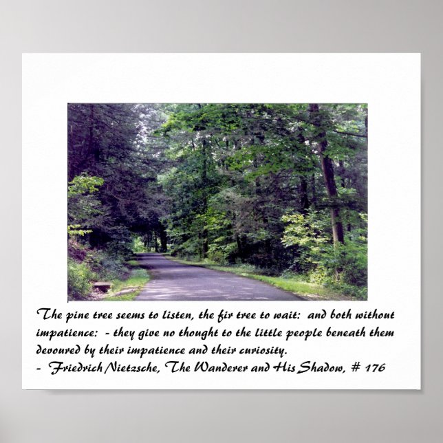 Floresta de Nietzsche - poster (Frente)