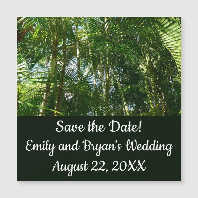 Floresta de Palmeiras Natureza Tropical (Frente)