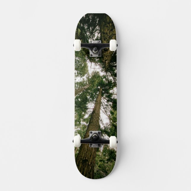 Floresta de Perspectiva de Skateboard (Frente)
