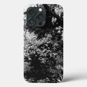 Floresta Deixa Padrões de folhagem Natureza Preto