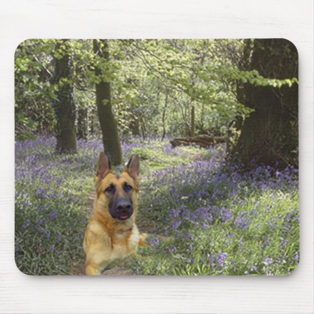 Floresta Mousepad do german shepherd (Frente)