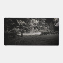 Floresta Nevada à Noite