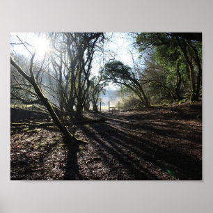 floresta no poster da arte do inverno