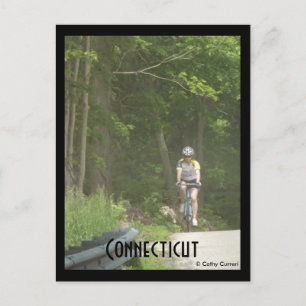 Floresta Pachaug, Ct. Cartão Postal