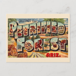 Floresta Petrificada Retro Arizona Cartão Postal