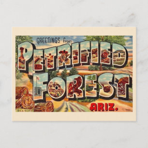 Floresta Petrificada Retro Arizona Cartão Postal