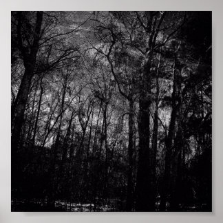 FLORESTA PRETA NO POSTER