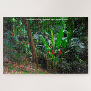 Floresta Tropical Granada Caribe. Quebra-cabeça