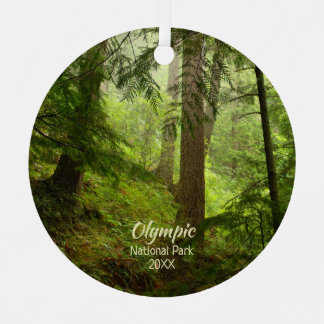 Floresta Tropical na Olimpiadas National Park Foto