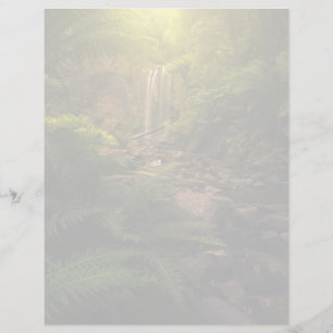 Florestas Destaques da luz solar Cascata