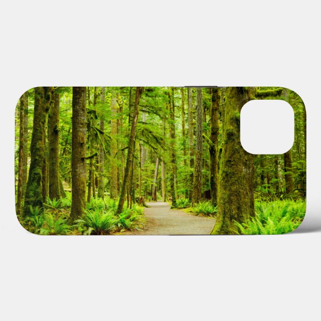 Florestas | Parque Nacional da Olimpiadas (Verso (horizontal))