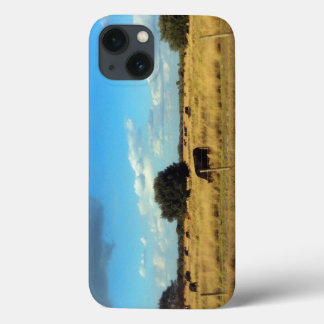 Florida Cattle