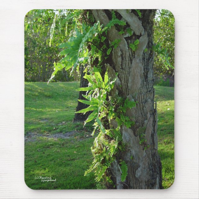 Flórida ferns Mousepad (Frente)