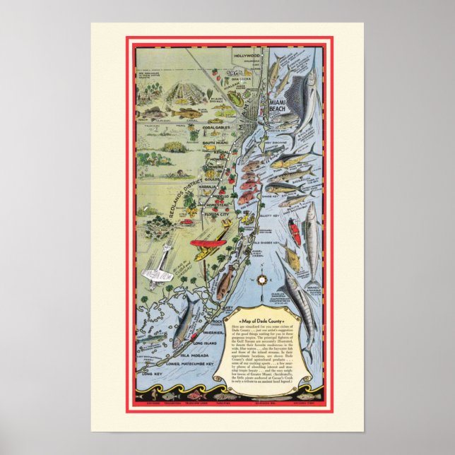 Florida Fish 12x18 Poster (Frente)