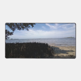 Flórida Golfo Shore Relaxando Fotografia Natural