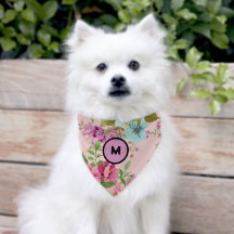 Flórida minimalista moderna