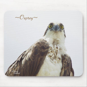 Flórida Osprey Mousepad