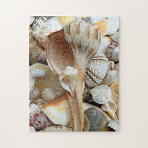 Flórida Relâmpago Whelk Seashelds Quebra-cabeça