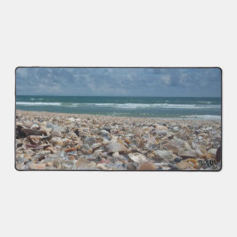 Flórida Seashell Atlantic Ocean Beach Foto