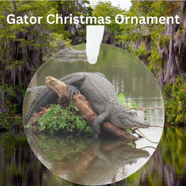 Flórida Swamp Gator - Ornamento acrílico (Criador carregado)