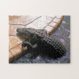 Floridian Alligator, Quebra-cabeça de serra