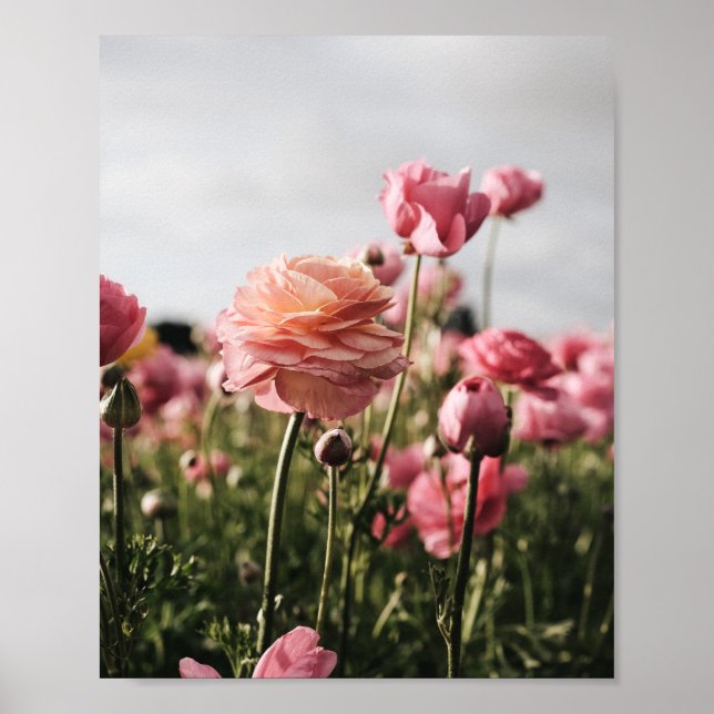 Flower Print, Value Poster Paper (Semi-Gloss) (Frente)