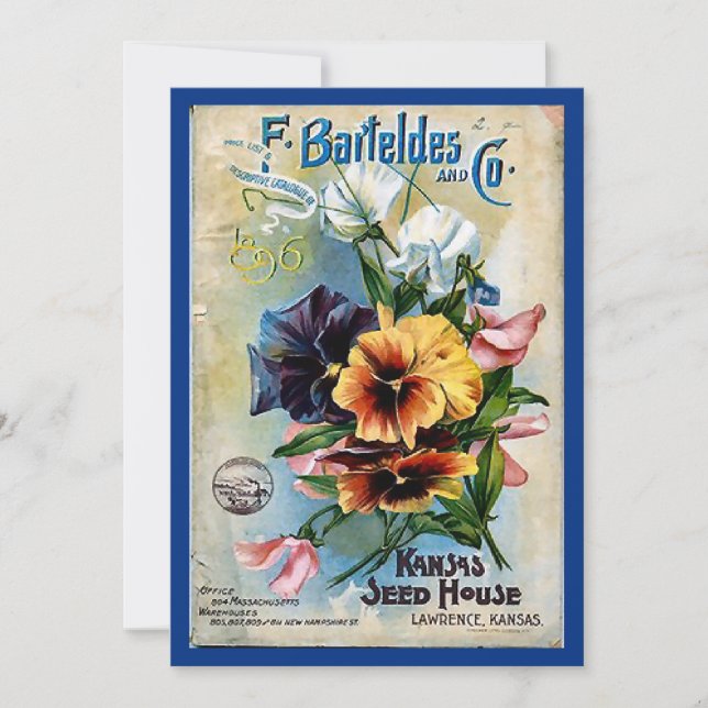 Flower Seed Packs Vintage Art (Frente)