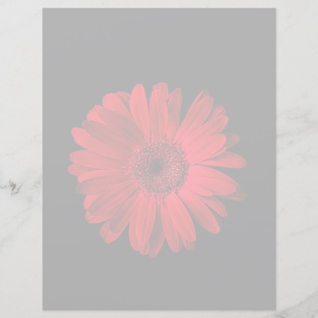 Flowers | Red Gerbera Daisy (Frente)