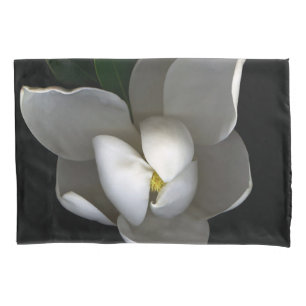 Flowers Single White Magnolia Blossom
