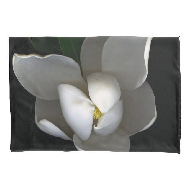 Flowers | Single White Magnolia Blossom (Frente)