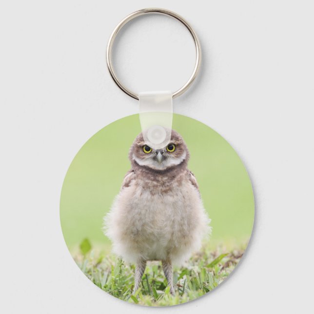 Fluffy Owlet Chaveiro (Frente)