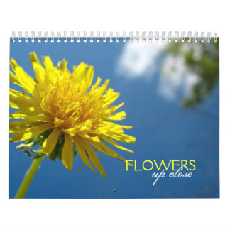Flutua Calendário de Fechamento